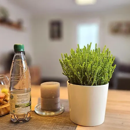 Lindenbaum Apartamento Grossolbersdorf