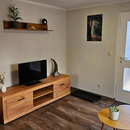 Lindenbaum * Grossolbersdorf