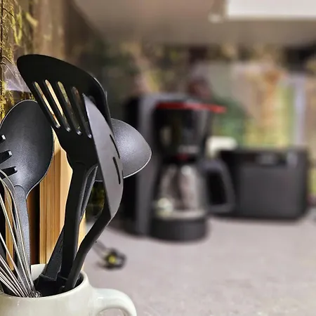 Lindenbaum Grossolbersdorf